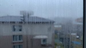 condensation leads to mold