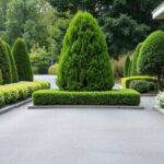 elegant driveway border plants