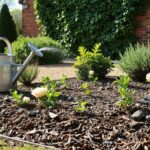 spring garden refresh tips