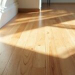 advantages and disadvantages explained