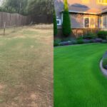 transforming gardens beautifully